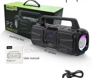 Zealot P2 Speaker
