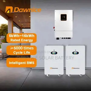 Dawnice 15kwh 51.2v 314ah Smart BMS Built in Solar Batteries