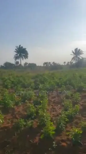 Photo - 215 Acres of Land for Sale at Ogun #6m/Acre With C of O