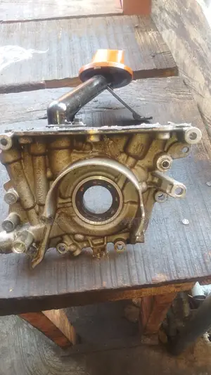 Oil Pump Ford Escape 2013