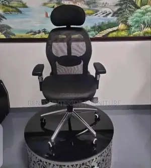 Executive Director Ergonomic Office Chair