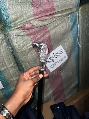Men Eagle Head Walking Stick