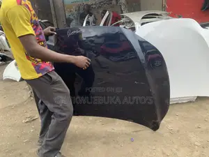 Bonnet Rx350 2024