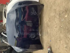 Bonnet Rx350 2024