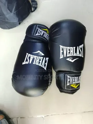 Everlast Boxing Gloves