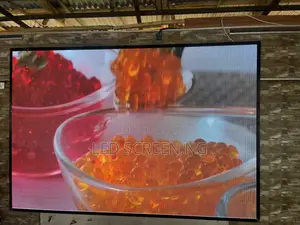 Affordable Outdoor Screen for Lounge/Hotel