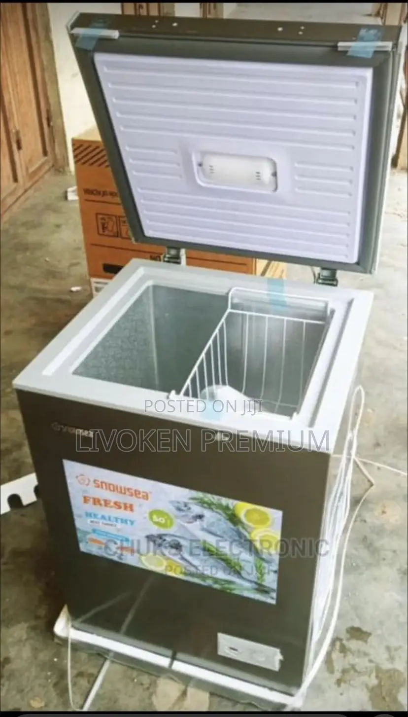 Snowsea Deep Freezer