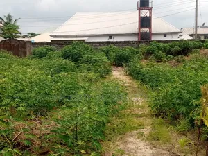 Photo - 3 Plots of Land in a Build Up Area