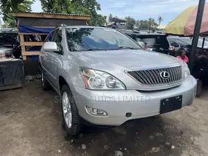 Lexus RX 2009 Silver