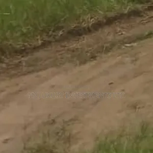 Land Measuring 7512sqm at Adekunle Animashaun