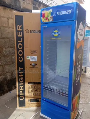 Snowsea Lc-400w – Where Efficiency Meets Capacity