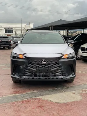 Lexus RX 350 2025 Gray