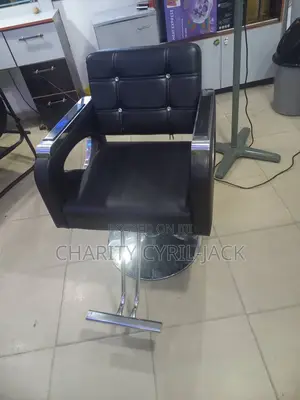 Salon Chair
