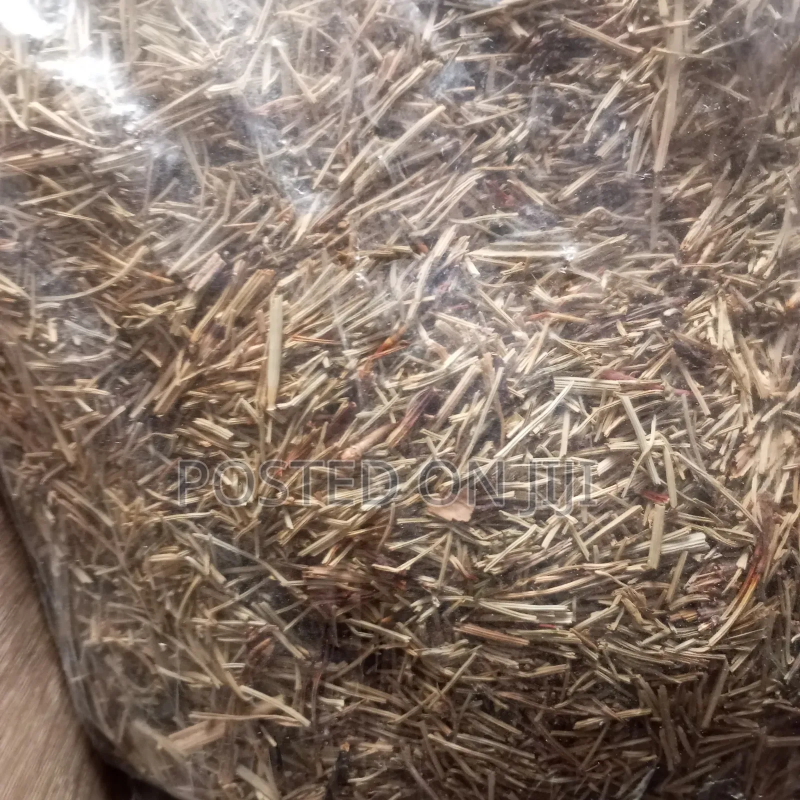 Horsetail Herb 100g
