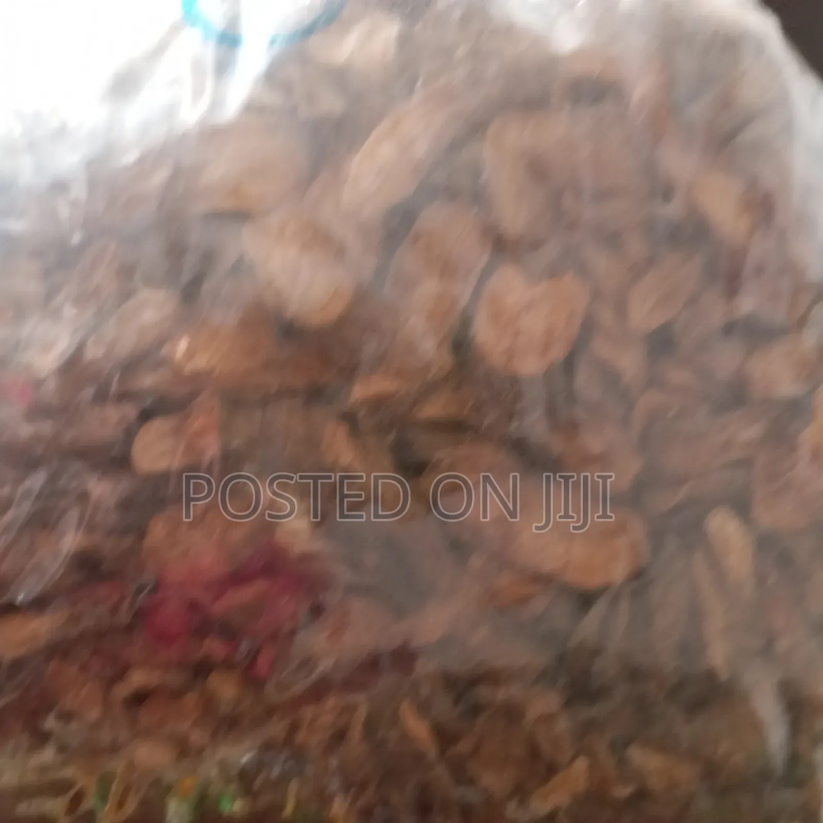 Burdock Root 100g