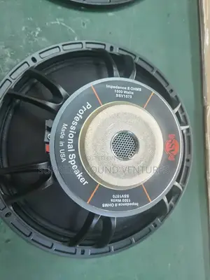 Ssv 1570 15 Inches Speaker