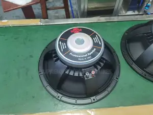 Ssv 1590 15 Inches Speaker