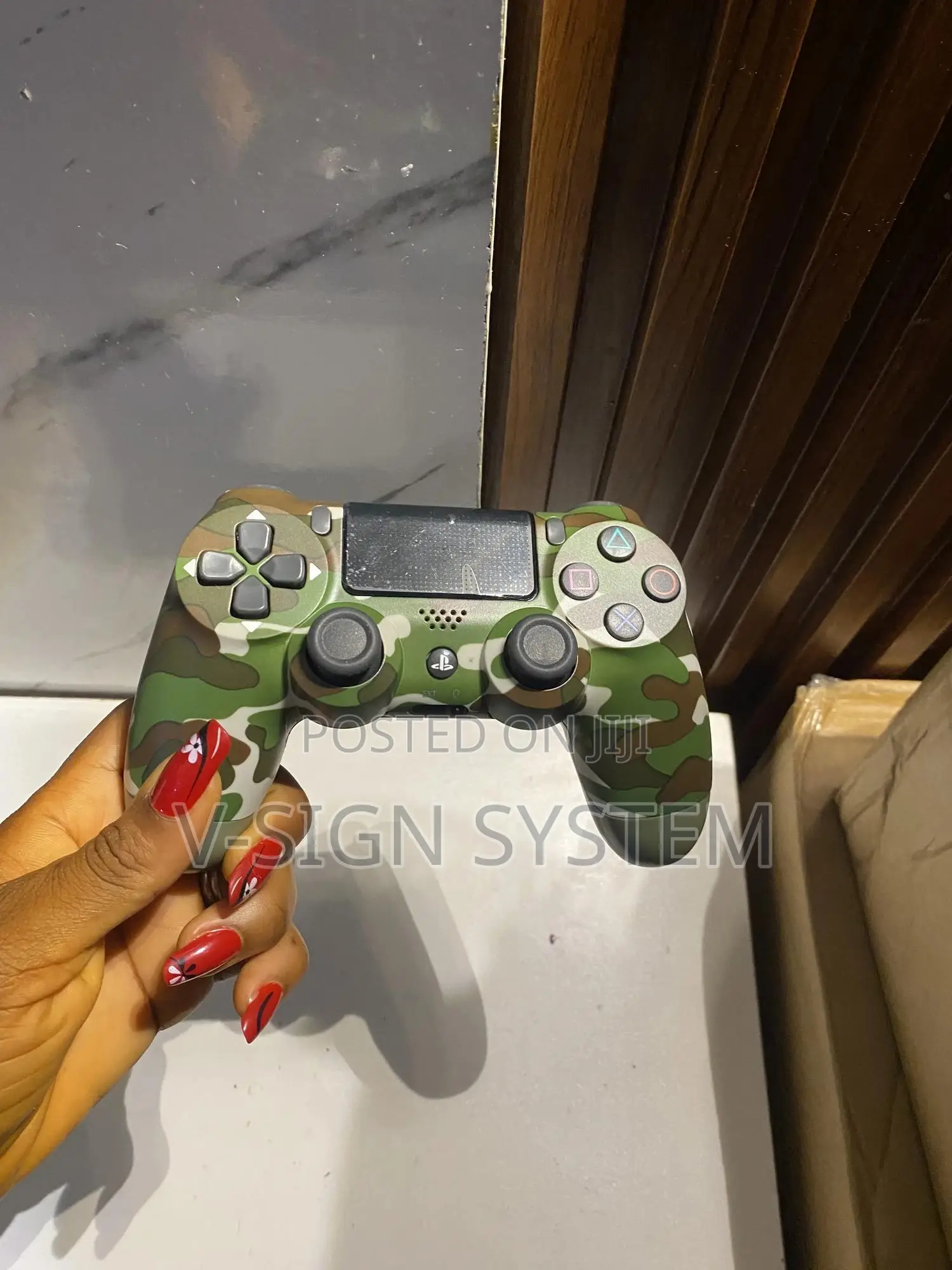 Ps4 Controller (Pad)