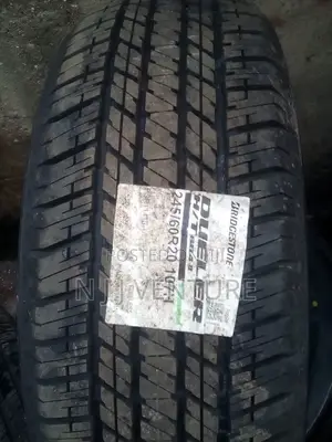 245 60 R20 Bridegstone Non China