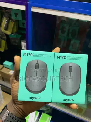 Logitech M170 Wireless Mouse
