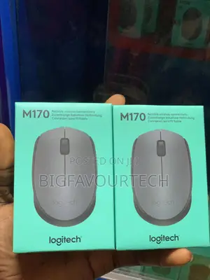 Logitech M170 Wireless Mouse
