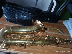 Schmid Pro Alto Saxophone