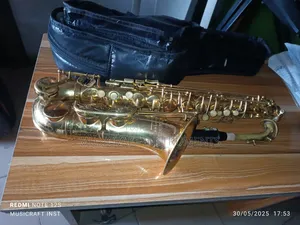 Schmid Pro Alto Saxophone