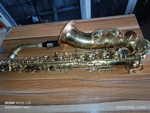 Schmid Pro Alto Saxophone