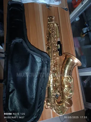 Schmid Pro Alto Saxophone