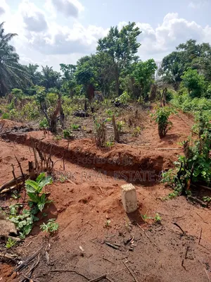 C of O 100/100 at Ekowe Community After Ovbiogie for Sale