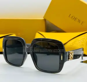 Loewe Premim Luxury Quality Glasses