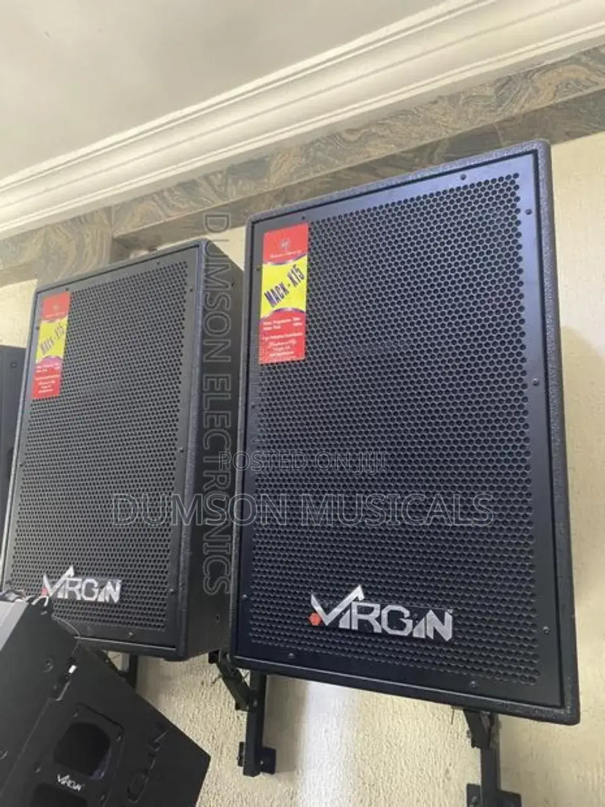 Virgin 15 Inches Hanging Speaker