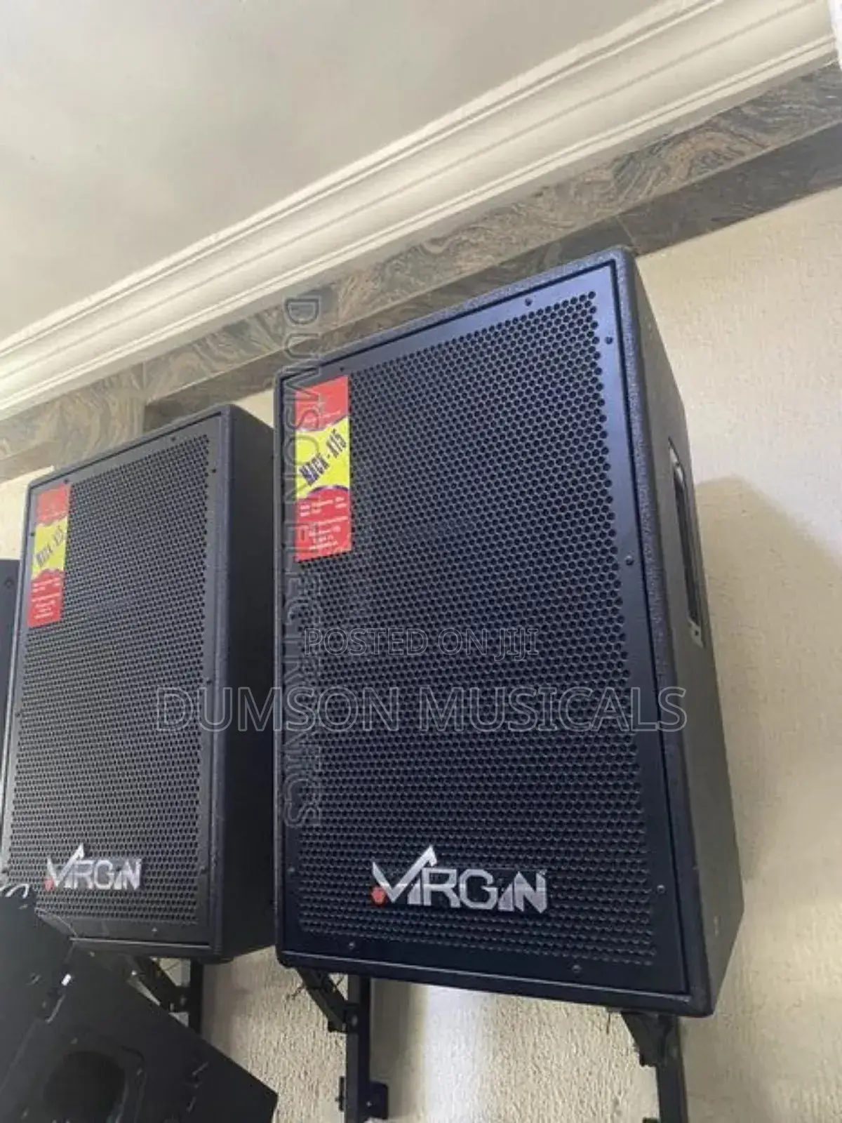 Virgin 15 Inches Hanging Speaker