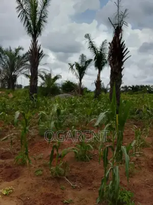 1 by 2 Land for Sale at Benin/Warri Express Way