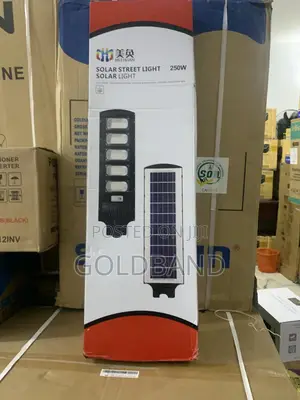 Smart 250w Solar Street Light for Outdoor Security