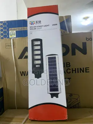 Commercial Grade 250w Solar Street Light for Public Spaces