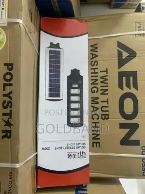 Rural and Urban Area 250w Solar Powered Street Lamp