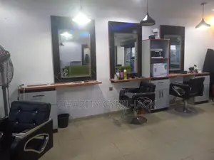 Salon Mirrors
