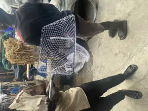 Cat Fish Net