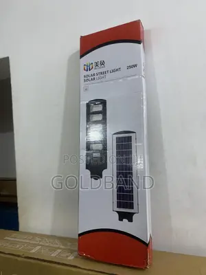 250w Solar Street Light– Flexible Mounting Options