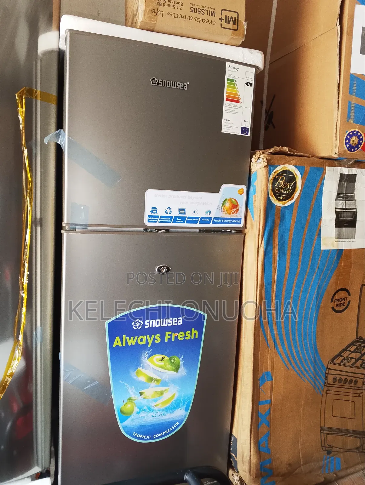 Double Door Fridge With Low Voltage and Warranty
