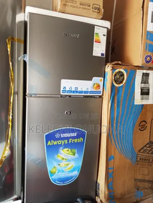 Double Door Fridge With Low Voltage and Warranty