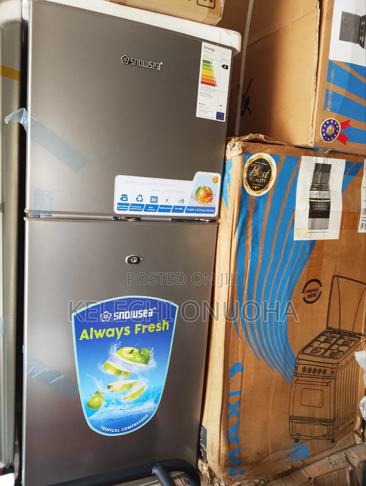Double Door Fridge With Low Voltage and Warranty