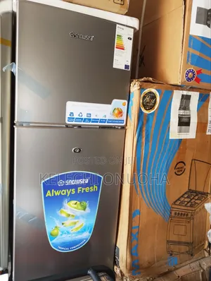 Double Door Fridge With Low Voltage and Warranty