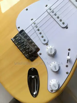 Stratocaster Electric Lead Guitar Plus Free Bag Strap_ Thu