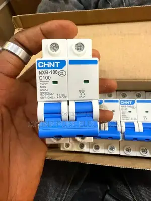 100amps 2pole MCB Beaker Chint