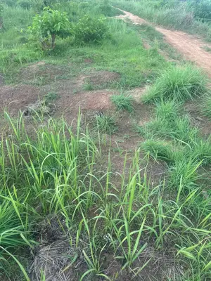 One Plot of Land Fat Ishieke for Sale