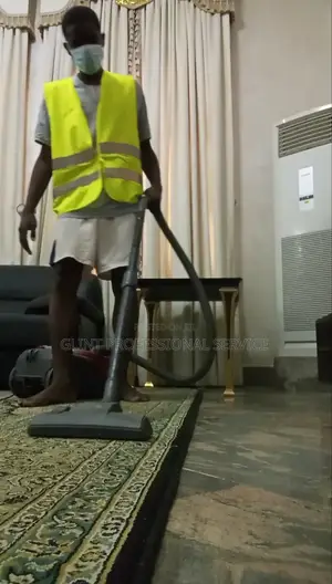 Carpet/ Rug Cleaning