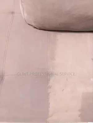 Upholstery Cleaning