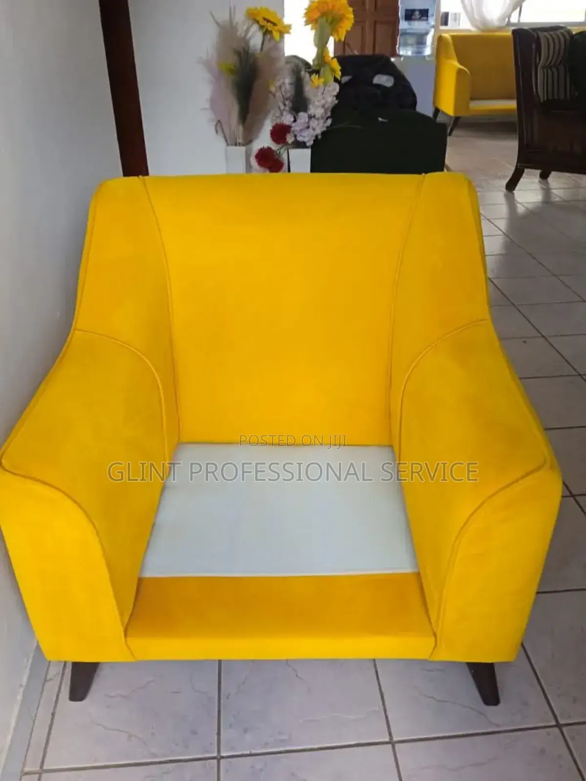 Upholstery Cleaning